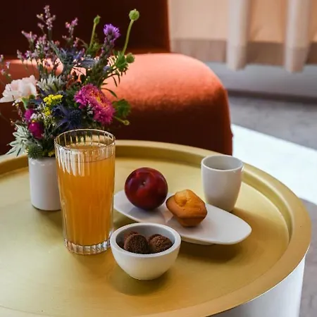 Okko Porte De Versailles מלון 4*